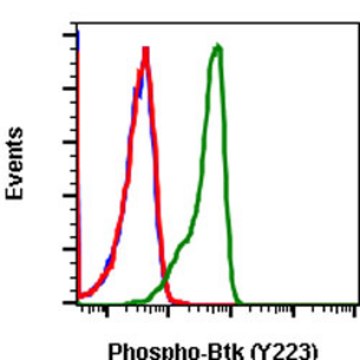 Monoclonal Anti-BTK (phospho Y223) antibody produced in rabbit clone B4