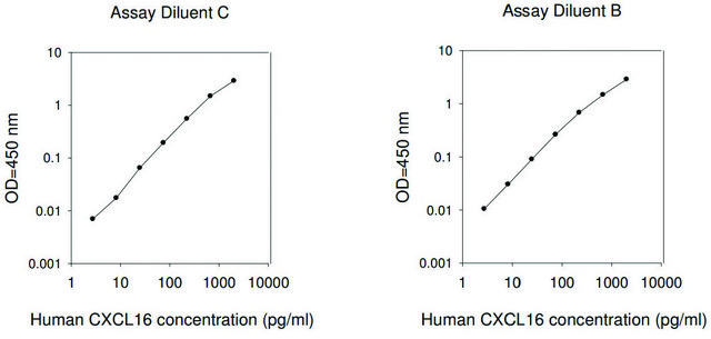 人类 CXCL16 ELISA 试剂盒 for serum, plasma, cell culture supernatant and urine