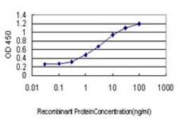 Monoclonal Anti-AKAP13 antibody produced in mouse clone 5B7, purified immunoglobulin, buffered aqueous solution
