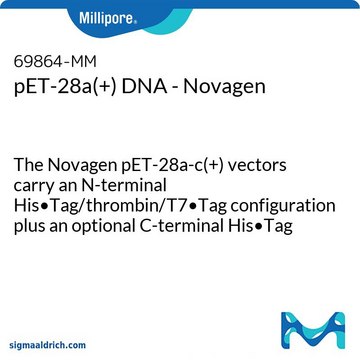 pET-28a(+) DNA - Novagen The Novagen pET-28a-c(+) vectors carry an N-terminal His&#8226;Tag/thrombin/T7&#8226;Tag configuration plus an optional C-terminal His&#8226;Tag sequence.