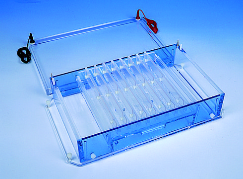 Horizontal gel electrophoresis unit, High Throughput