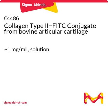 Collagen Type II&#8722;FITC Conjugate from bovine articular cartilage ~1&#160;mg/mL, solution