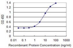 Monoclonal Anti-KLHL1 antibody produced in mouse clone 3C2, purified immunoglobulin, buffered aqueous solution