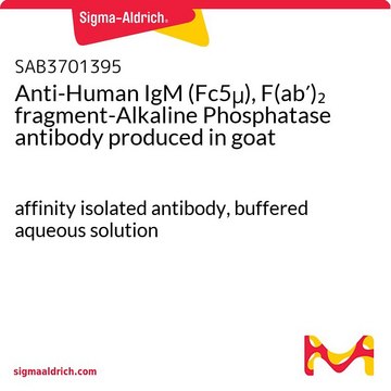 Anti-Human IgM (Fc5&#956;), F(ab&#8242;)2 fragment-Alkaline Phosphatase antibody produced in goat affinity isolated antibody, buffered aqueous solution