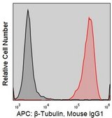 Anti-Human β-Tubulin (AA2) ColorWheel® Dye-Ready mAb