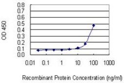 Monoclonal Anti-LILRB2 antibody produced in mouse clone 1D4, purified immunoglobulin, buffered aqueous solution