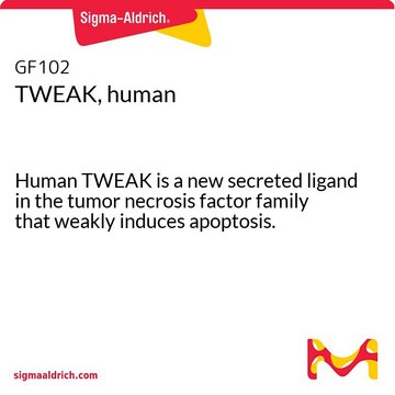 TWEAK，人类 Human TWEAK is a new secreted ligand in the tumor necrosis factor family that weakly induces apoptosis.