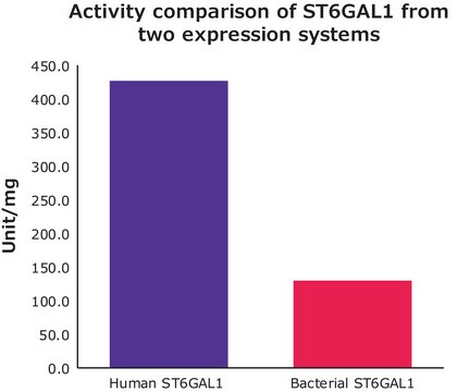 Beta-galactoside alpha-2,6-sialyltransferase 1 &#8805;300&#160;units/mg protein, ST6GAL1 human recombinant, expressed in HEK 293 cells