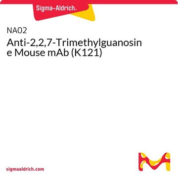 Anti-2,2,7-Trimethylguanosine Mouse mAb (K121)