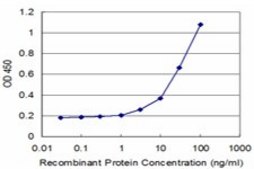Monoclonal Anti-HLA-DPA1 antibody produced in mouse clone 1E3, purified immunoglobulin, buffered aqueous solution