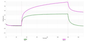 Anti-CRKL Antibody, clone 1I22 ZooMAb® Rabbit Monoclonal recombinant, expressed in HEK 293 cells