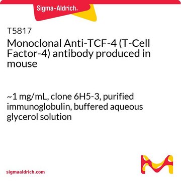 Monoclonal Anti-TCF-4 (T-Cell Factor-4) antibody produced in mouse ~1&#160;mg/mL, clone 6H5-3, purified immunoglobulin, buffered aqueous glycerol solution