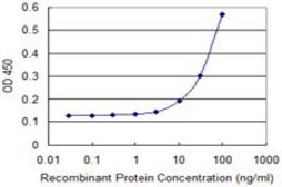 Monoclonal Anti-TCEB2 antibody produced in mouse clone 2B4, purified immunoglobulin, buffered aqueous solution