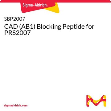 CAD (AB1) Blocking Peptide for PRS2007