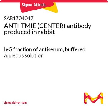 ANTI-TMIE (CENTER) antibody produced in rabbit IgG fraction of antiserum, buffered aqueous solution