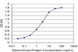 ANTI-SMG1 antibody produced in mouse clone 2B10, purified immunoglobulin, buffered aqueous solution
