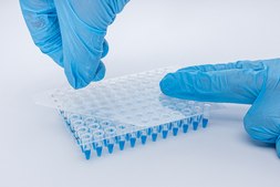 QuickSeal Micro™ self adhesive sealing film LabSheet™, W × L 80 mm × 135 mm, sterile, pack of 100 sheets