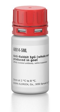 Anti-Rabbit IgG (whole molecule)&#8722;Agarose antibody produced in goat affinity isolated antibody, saline suspension