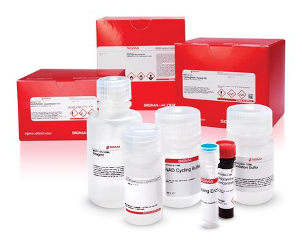 Kinase Assay Kit Sufficient for 400 fluorometric tests