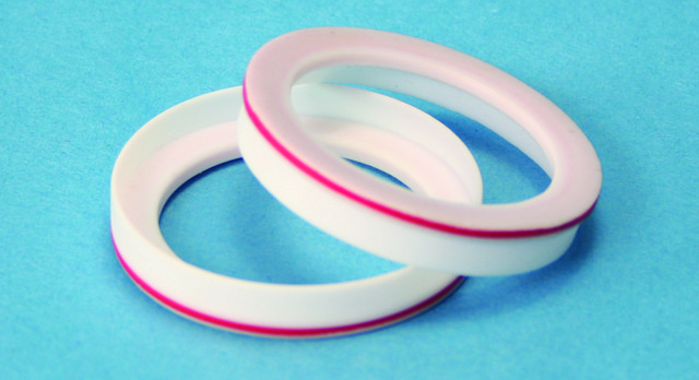 Cup gaskets for Aldrich&#174; Buchner VerSAfunnels&#8482; disc diam. 24&#160;mm