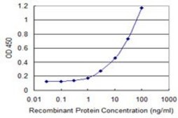 Monoclonal Anti-PWP1 antibody produced in mouse clone 1A12, purified immunoglobulin, buffered aqueous solution