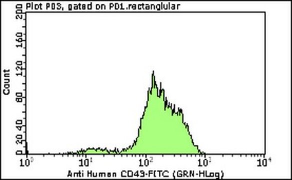 Milli-Mark&#174; Anti-CD43-FITC Antibody, clone DF-T1 clone DF-T1, Milli-Mark&#174;, from mouse