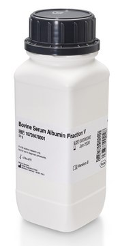 Bovine Serum Albumin &#8805;98.5%, New Zealand origin