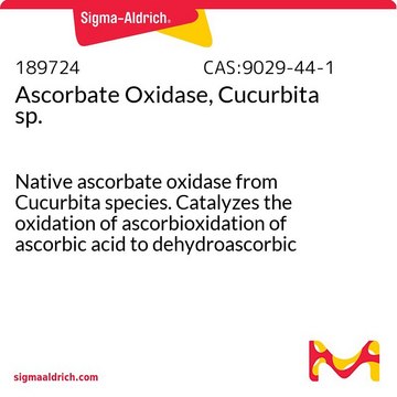 抗坏血酸氧化酶，南瓜属 Native ascorbate oxidase from Cucurbita species. Catalyzes the oxidation of ascorbioxidation of ascorbic acid to dehydroascorbic acid. Suitable for eliminating interference of ascorbic acid in clinical assays and for determination of ascorbic acid.