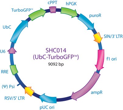 MISSION&#174; pLKO.1-puro-UbC-TurboGFP&#8482; Positive Control Transduction Particles Contains a gene encoding TurboGFP, under the control of the UbC promoter