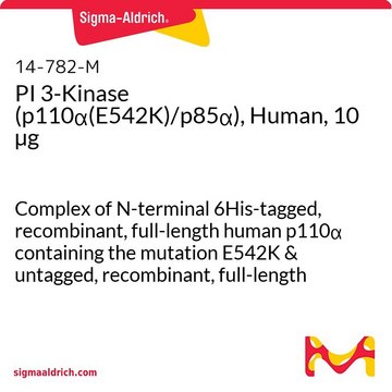 PI 3-激酶（p110&#945;(E542K)/p85&#945;），人，10 &#181;g Complex of N-terminal 6His-tagged, recombinant, full-length human p110&#945; containing the mutation E542K &amp; untagged, recombinant, full-length human p85&#945;. For use in Kinase Assays.