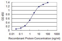 Monoclonal Anti-ABCB1 antibody produced in mouse clone 1F11, purified immunoglobulin, buffered aqueous solution