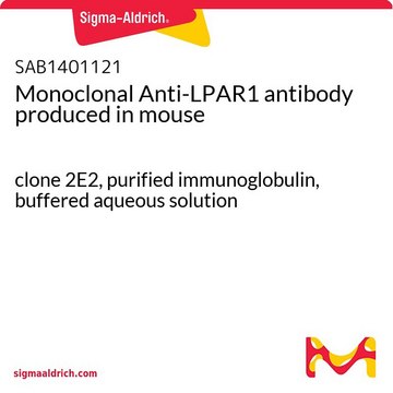 Monoclonal Anti-LPAR1 antibody produced in mouse clone 2E2, purified immunoglobulin, buffered aqueous solution