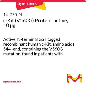 c-Kit (V560G) Protein, active, 10 &#181;g Active, N-terminal GST tagged recombinant human c-Kit, amino acids 544 -end, containing the V560G mutation, found in patients with gastrointestinal stromal tumours. For use in Kinase Assays.