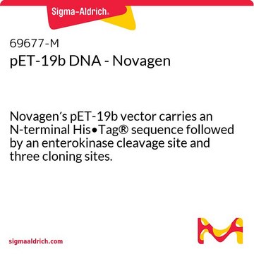 pET-19b DNA - Novagen Novagen&#8242;s pET-19b vector carries an N-terminal His&#8226;Tag&#174; sequence followed by an enterokinase cleavage site and three cloning sites.