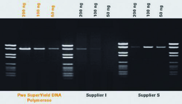 Pwo SuperYield DNA Polymerase, dNTPack sufficient for &#8804;40&#160;reactions, pkg of 100&#160;U, optimum reaction temp. 72 °C