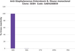 Anti-Staphylococcus Enterotoxin B antibody, Mouse monoclonal clone SEB4, purified from hybridoma cell culture