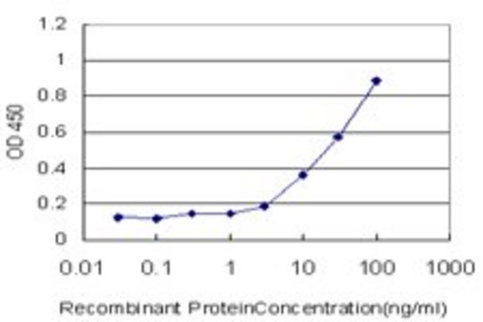 Monoclonal Anti-TAZ antibody produced in mouse clone 1E5, purified immunoglobulin, buffered aqueous solution