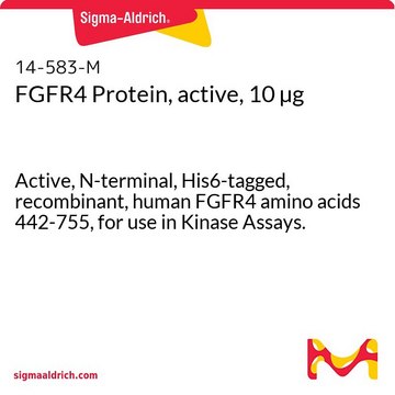 FGFR4 Protein, active, 10 &#181;g Active, N-terminal, His6-tagged, recombinant, human FGFR4 amino acids 442-755, for use in Kinase Assays.