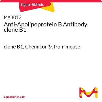 Anti-Apolipoprotein B Antibody, clone B1 clone B1, Chemicon&#174;, from mouse