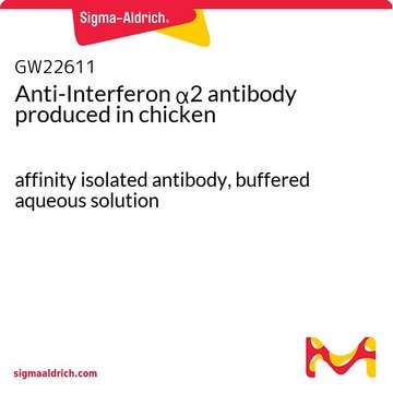 Anti-Interferon &#945;2 antibody produced in chicken affinity isolated antibody, buffered aqueous solution