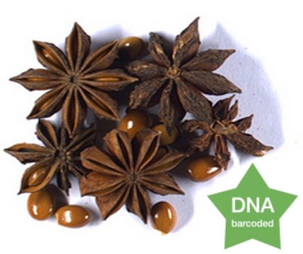 Illicium anisatum Fruit Botanical reference material