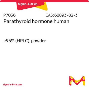 Parathyroid hormone human &#8805;92% (HPLC), powder