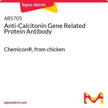 抗降钙素基因相关蛋白抗体 Chemicon&#174;, from chicken