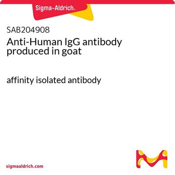 Anti-Human IgG antibody produced in goat affinity isolated antibody