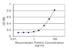 Monoclonal Anti-EBF antibody produced in mouse clone 1C12, purified immunoglobulin, buffered aqueous solution