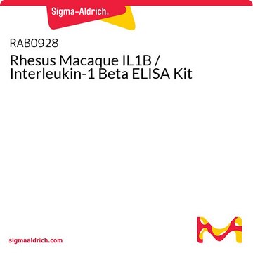 Rhesus Macaque IL1B / Interleukin-1 Beta ELISA Kit