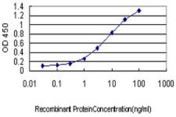 Monoclonal Anti-PUM2 antibody produced in mouse clone 5B6, purified immunoglobulin, buffered aqueous solution