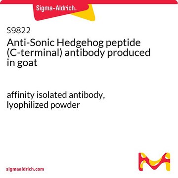 Anti-Sonic Hedgehog peptide (C-terminal) antibody produced in goat affinity isolated antibody, lyophilized powder