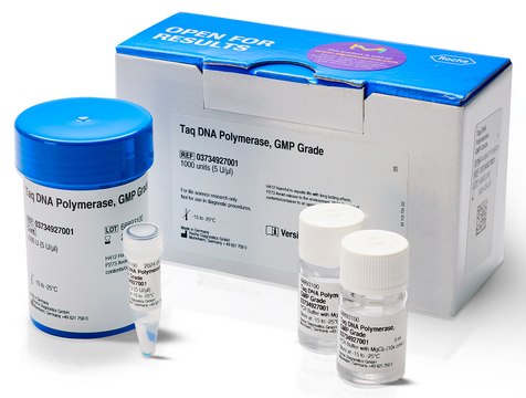 Taq DNA聚合酶，GMP级 &#8805;13000&#160;units/mg protein, &gt;98% (SDS-PAGE), sufficient for &#8804;2,000&#160;reactions, Difficult Templates/Specialty Enzymes PCR