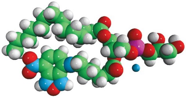 14:0-06:0 NBD PG Avanti Polar Lipids 810161P, powder